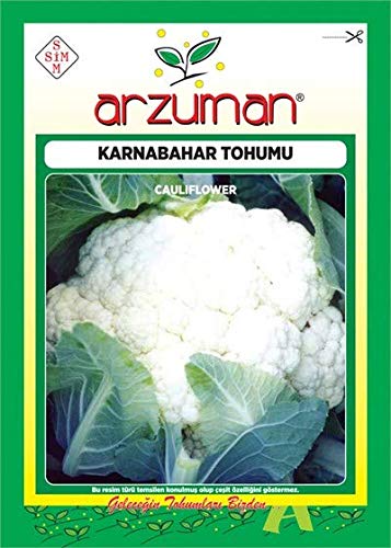 Arzuman Tohum Karnabahar