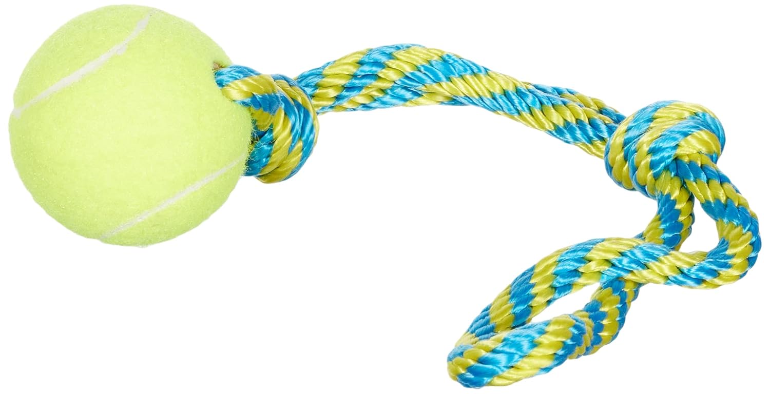 Pawise Tennis Bouncer Toss Köpek Oyuncağı