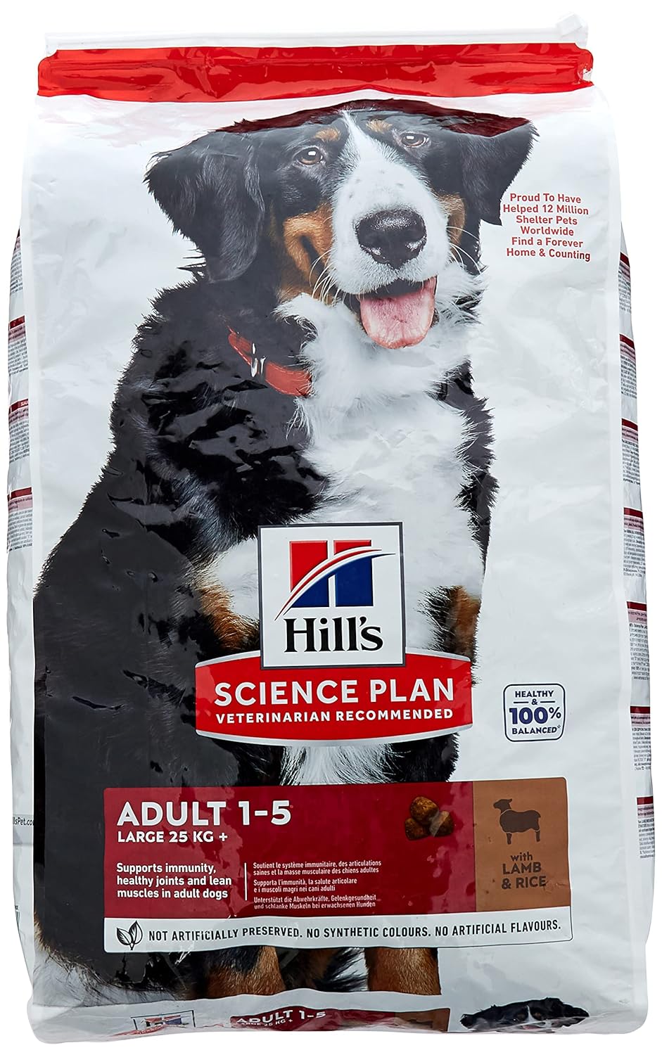 Hill's Adult Large Büyük İrk Kuzu Etli Yetişkin Köpek Mamasi 14 kg