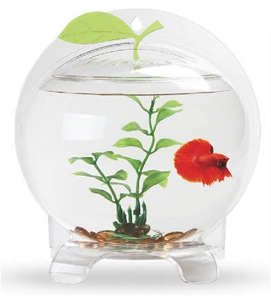 Resun Fancy Apple, Akvaryum 21X11X22