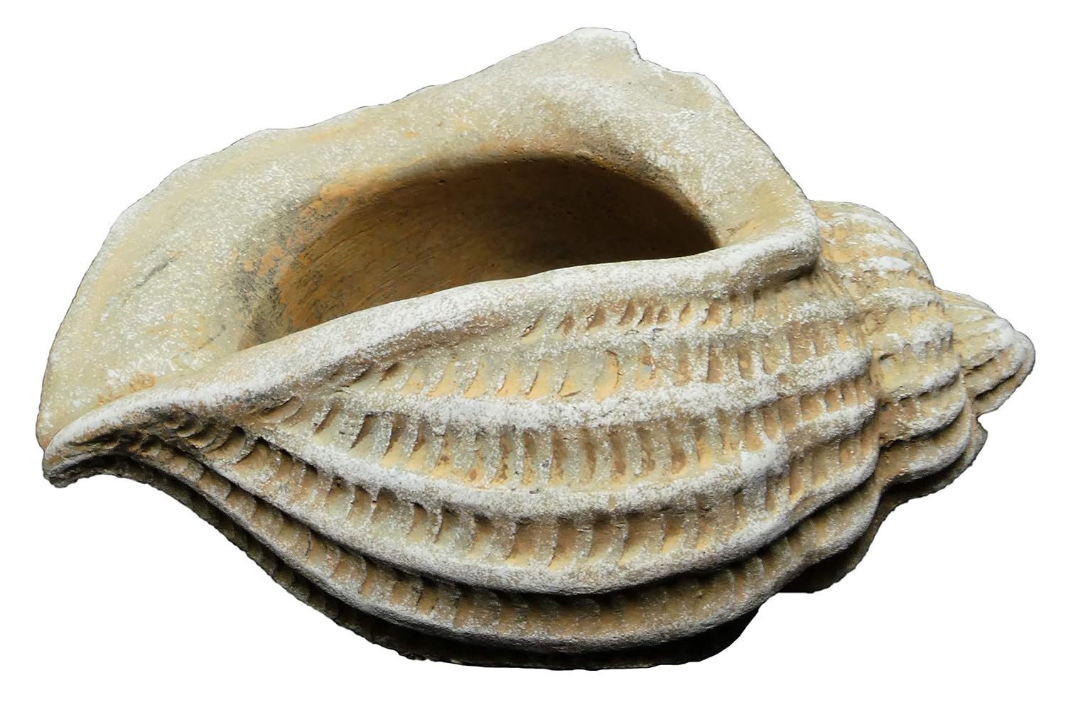 Classic Home and Garden 260024-C149 Jagger Kabuğu Sukulent Saksısı, Kum