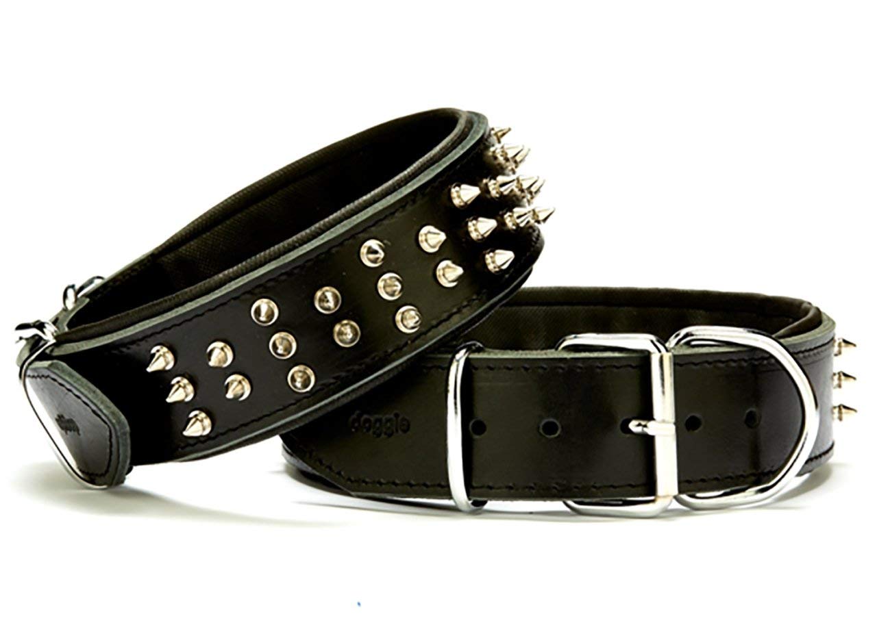 Doggie Çift Kat Deri Güçlü Çivili Köpek Boyun Tasması, Siyah, 5x50-60 Cm