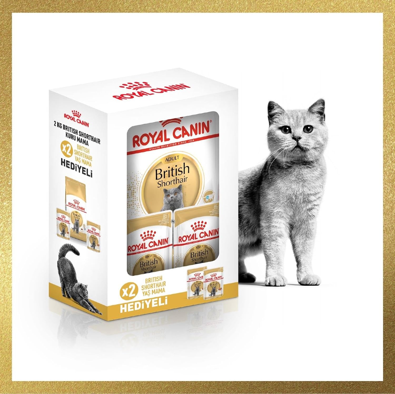 Royal Canin Adult Yetişkin British Shorthair Kedi Maması 2 Kg + Royal Canin Yetişkin British Shorhair Yaş Maması 2 Adet (Original)