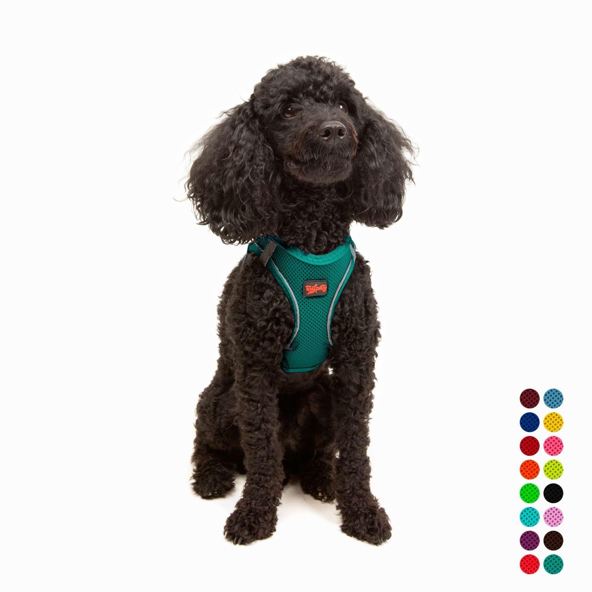 Tailpetz Air-Mesh Küçük ve Orta Irk Kedi Köpek Göğüs Tasması - Yumuşak, Nefes Alabilir, Dayanıklı (Emerald, XSmall)