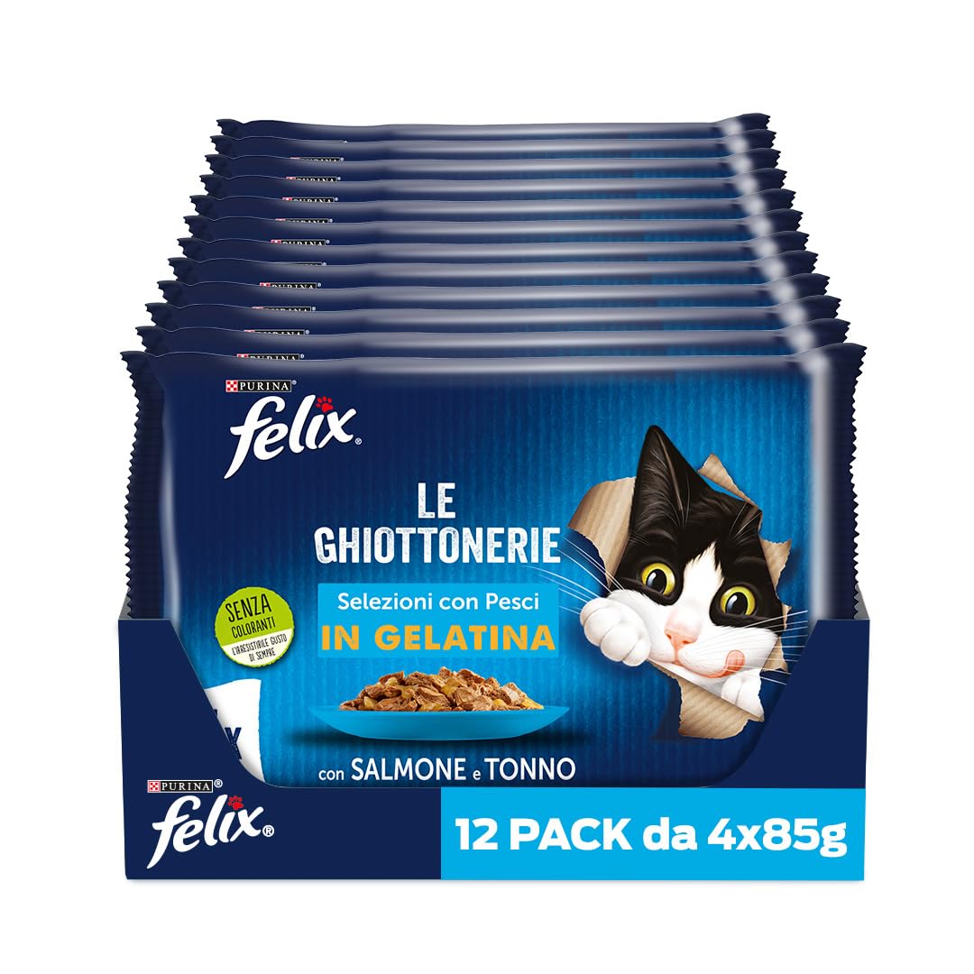 Felix Somonlu Kedi Yaş Maması Avantajlı Paket (48 x 85 gr)