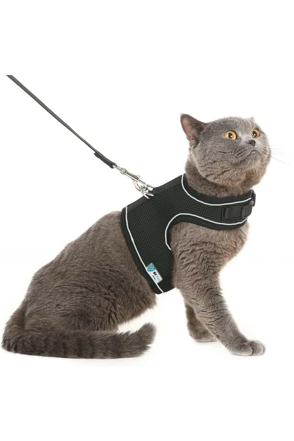 BYPET Yeni Nesil Nefes Alabilen Kedi Göğüs Tasması Seti (Medium, Siyah)