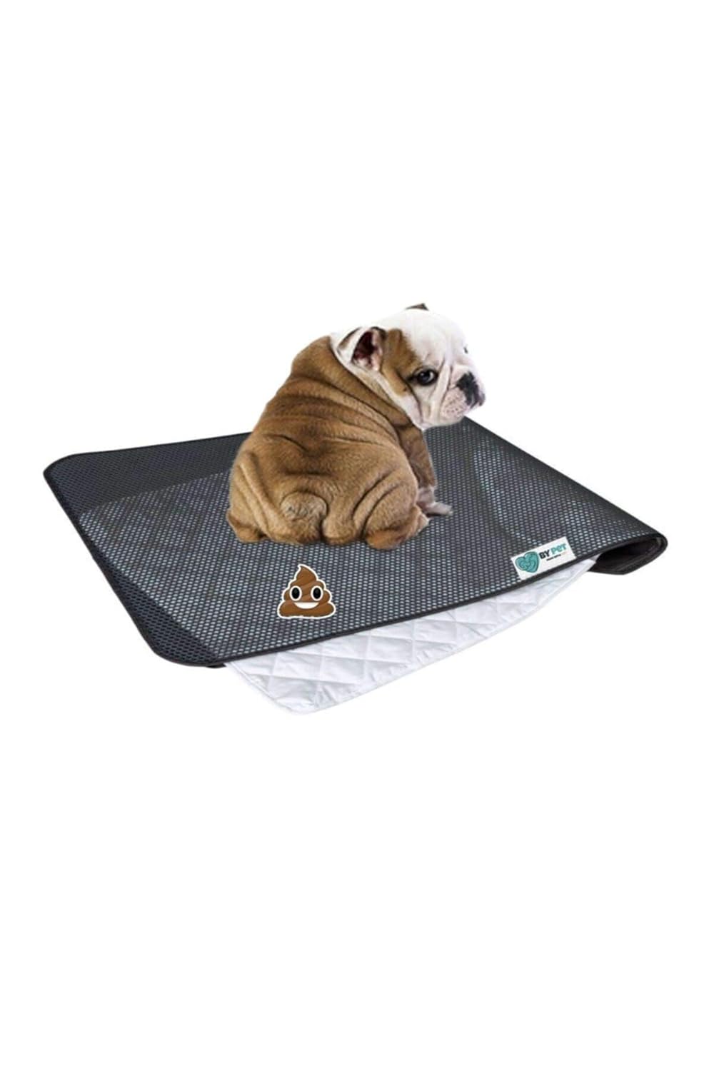 Bypet Yıkanabilir Köpek Çiş Pedi - Köpek Tuvalet Eğitim Seti (3 Katmanlı) 90cmx60cm Yedekli