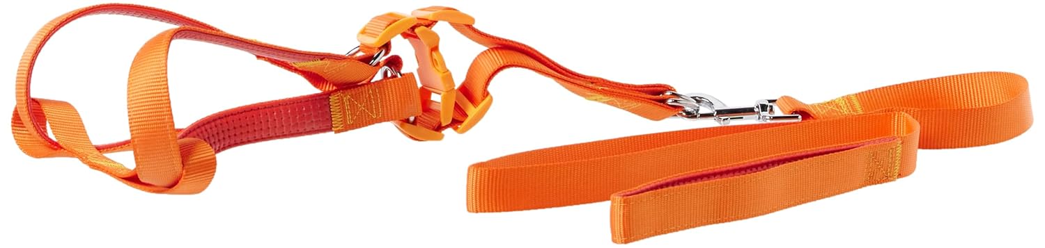 Euro Dog Köpek Uzatma Tasması+Göğüs Tasması 25mm 120cm Turuncu