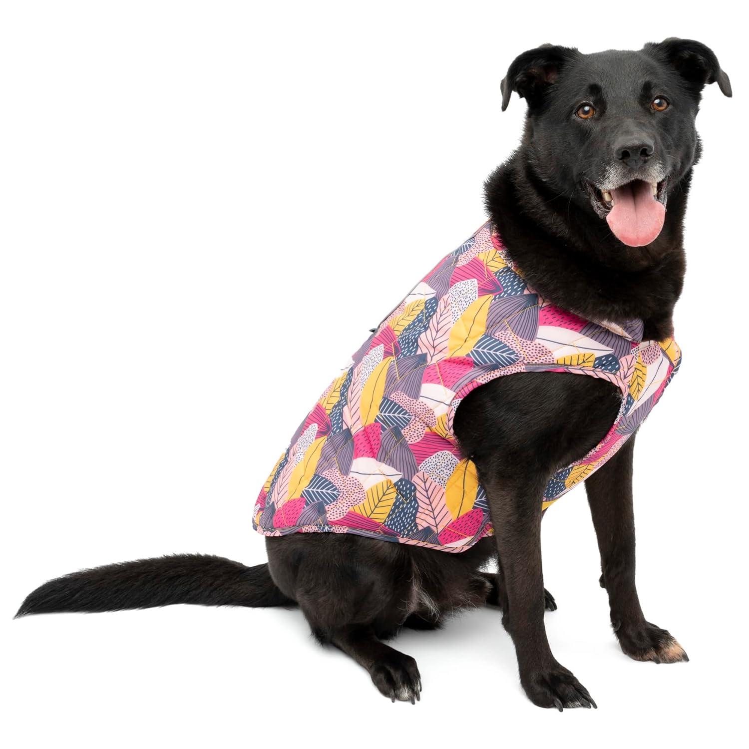 Kurgo Loft köpek ceketi, köpek için ters çevrilebilir kışlık mont, reflektör, koşum takımı, su geçirmez, küçük, orta boy büyük evcil hayvanlar için (sonbahar festivali, L)