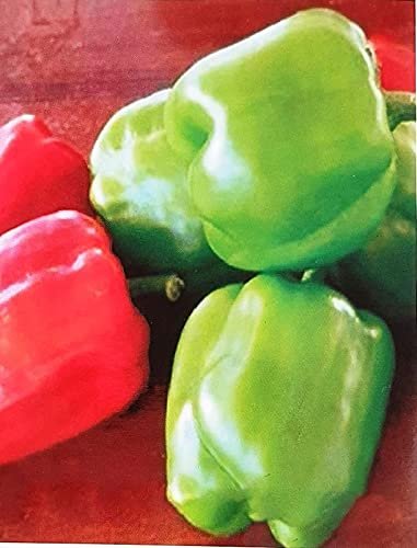AGRODAL TARIM ATA TOHUMU YÖRESEL DOĞAL ACI DOLMA BİBERİ 100 AD TOHUM