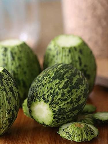 Erdem Garden Doğal Turşuluk Kavun Kelek (Hıdır) 100 Ad. Tohum