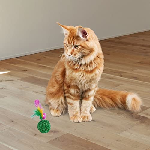 Buffer® 2li Rattan Renkli Peluş Tüy Kedi Köpek Oyuncak Yakalama Çiğneme Çıngıraklı Top Oyuncağı