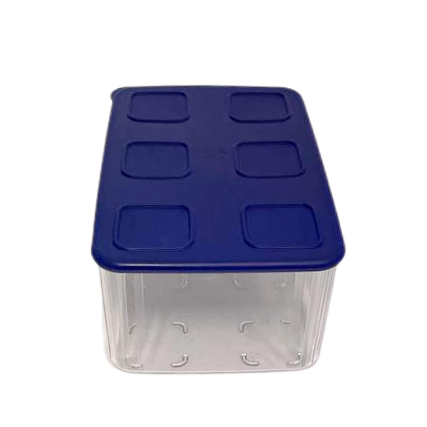 Tupperware Şeffaf ve Taze 2,5 L Şeffaf Mavi Koyu Mavi Buzdolabı Sistemi Taze Sistem Konteyner Kapakl