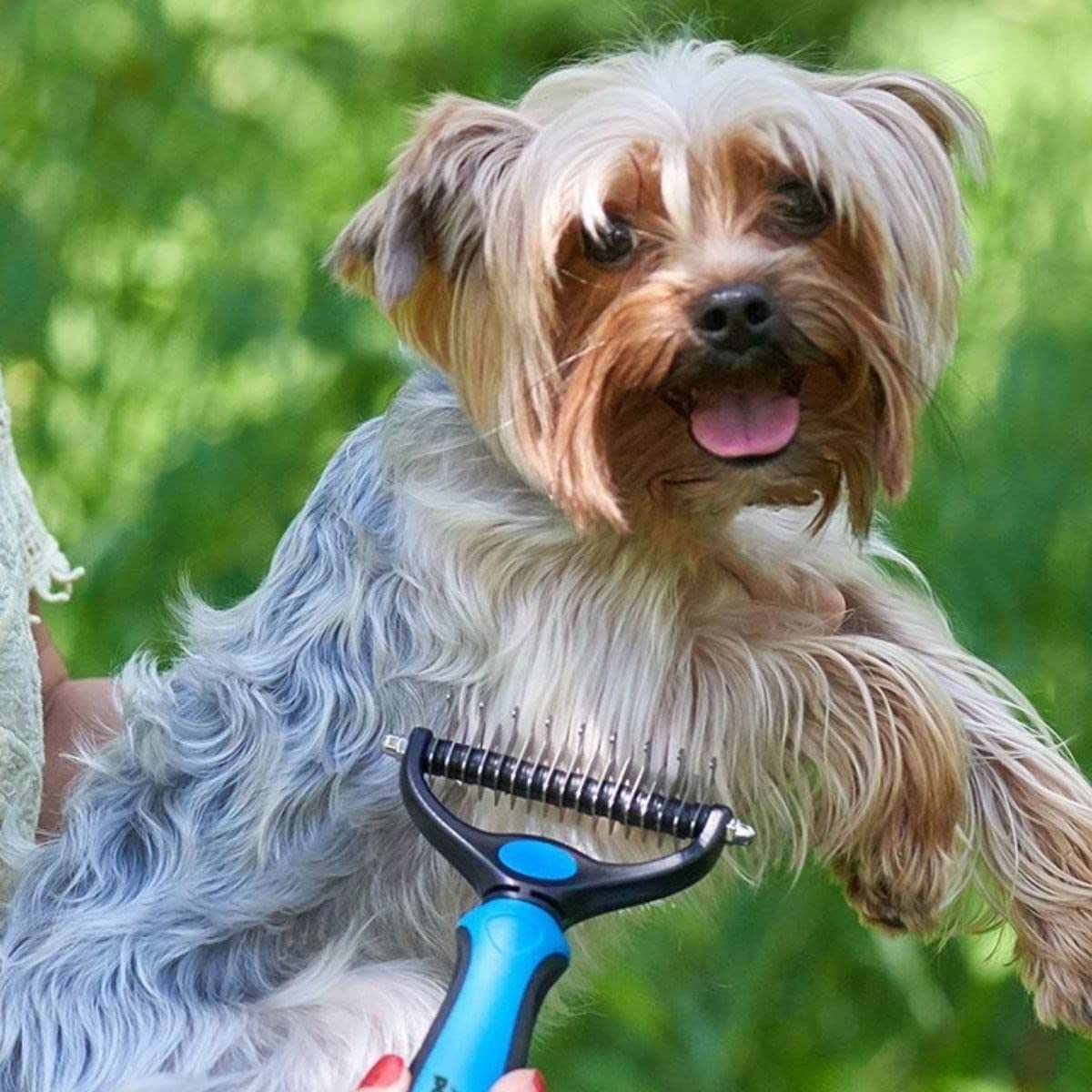 BUFFER® Plastik Saplı Metal Kedi Köpek Tüy Topak Açıcı Tarak Bakım Aleti