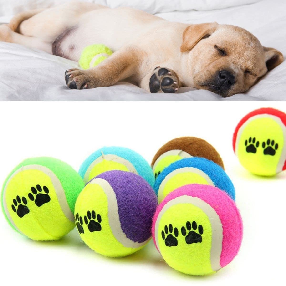 BUFFER® 3'lü Renkli Desenli Tenis Topu Kedi Köpek Oyuncağı