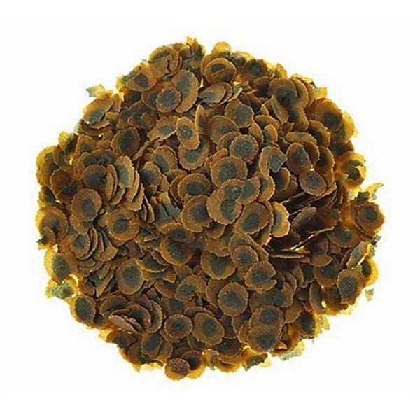 Tetra Pro Algae 500gr - Kovadan Bölme