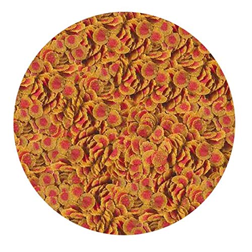 Tetra PRO Colour 250gr - Kovadan Bölme