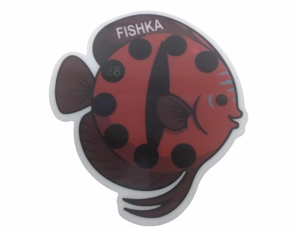 Akvaryum Yapışkan Discus Balığı Derece