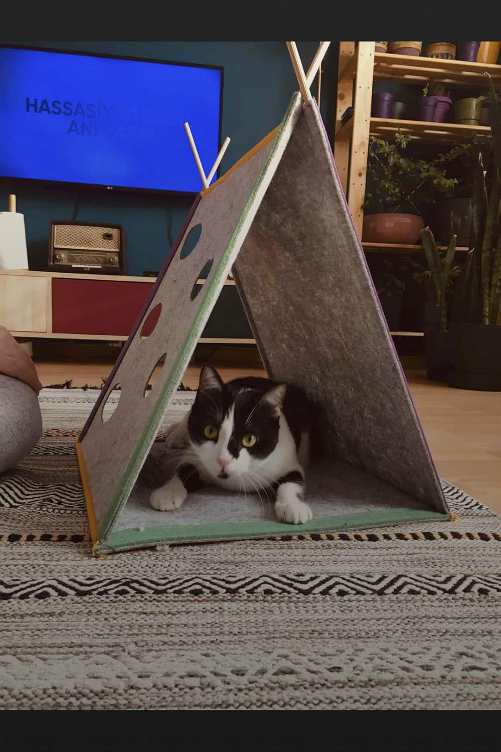 bypet Cattent Kedi Oyun Çadırı Ve Evcil Hayvan Yatağı