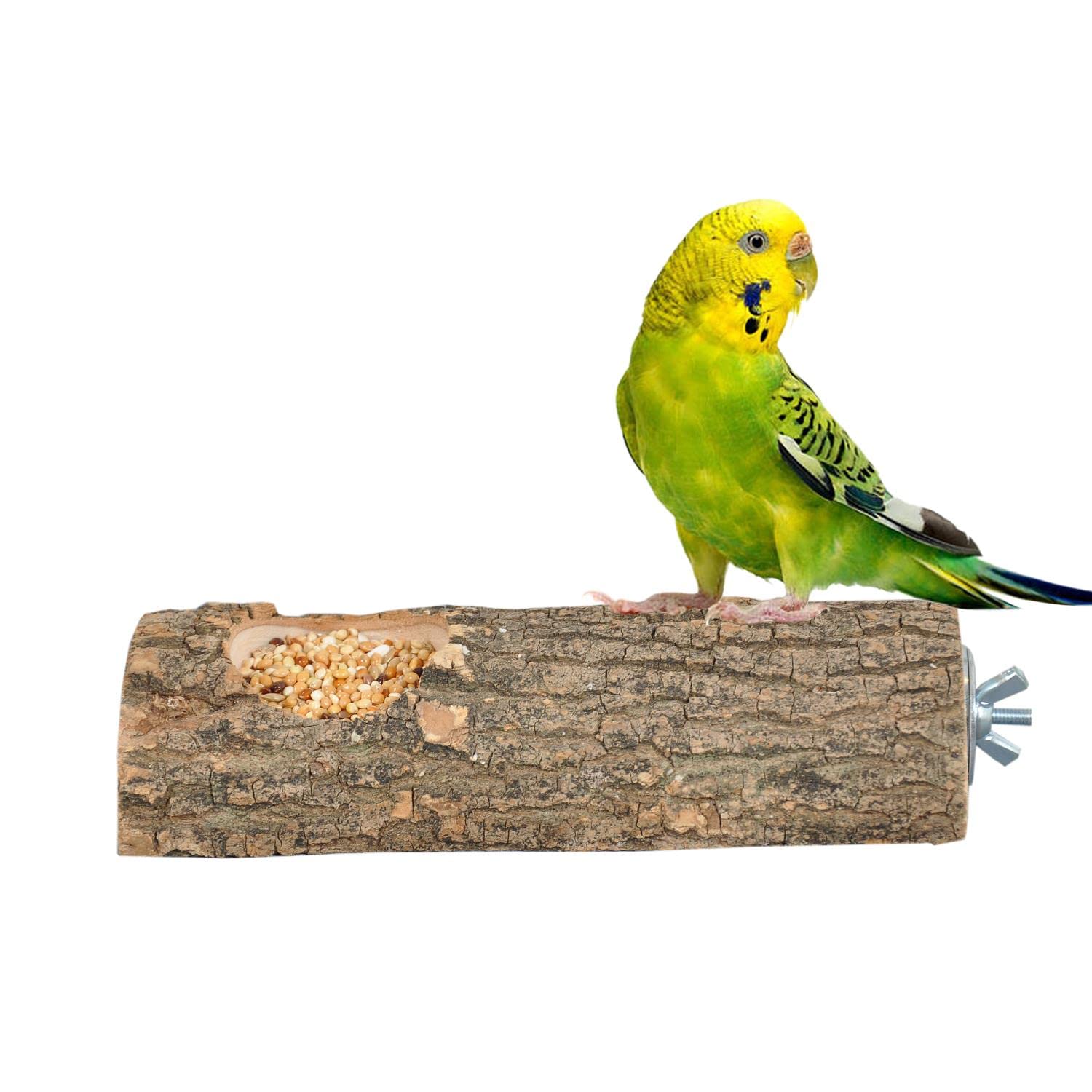 Doğal Ağaç Kuş Tüneği Ve Yemlik Kütük Tünek Yemlikli Tünek Uzunluk 15 cm