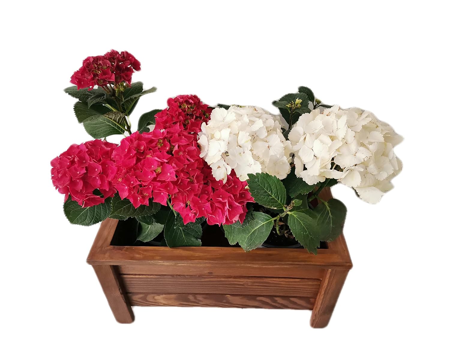 ahşap saksı orta boy 50x30x27