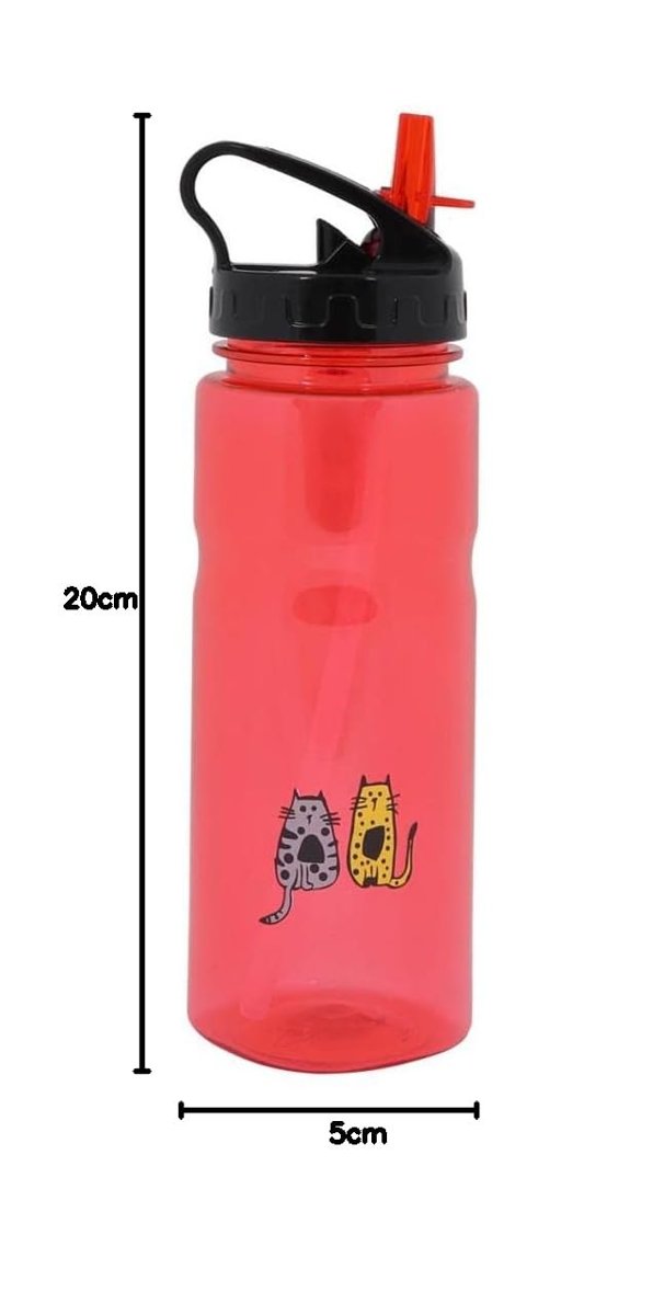 Biggdesign Cats Tritan Matara 650 ml