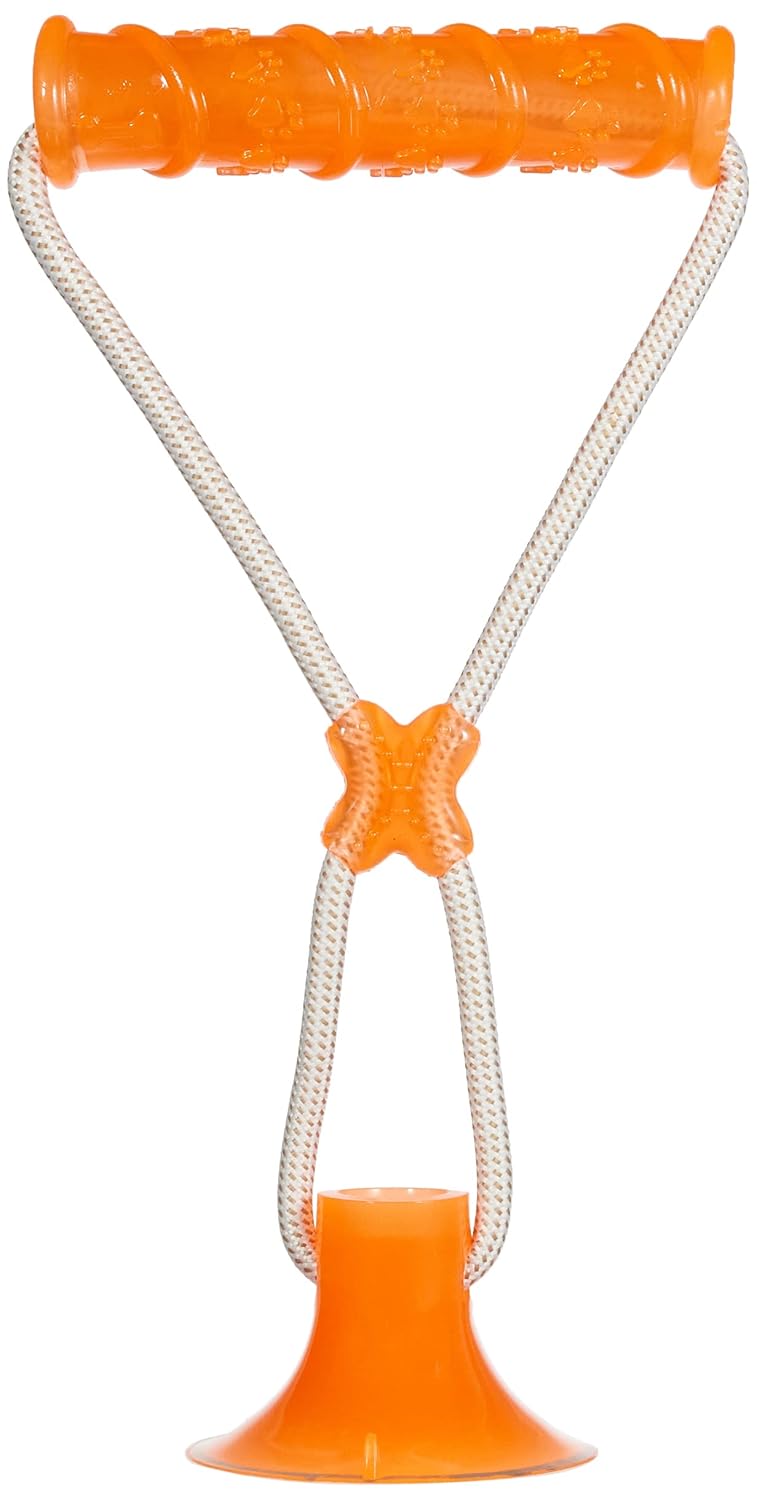 Pawise Dog Suction Dumbbell Köpek Oyuncağı