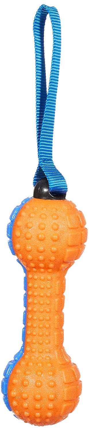 Pawise Squeaky Foam Dummbell Handle Köpek Oyuncağı