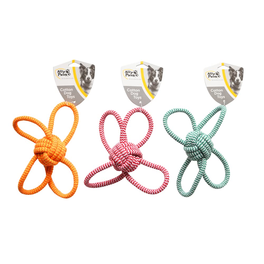 ALLY PAWS KÖPEKLER İÇİN DİŞ İPİ 22CM