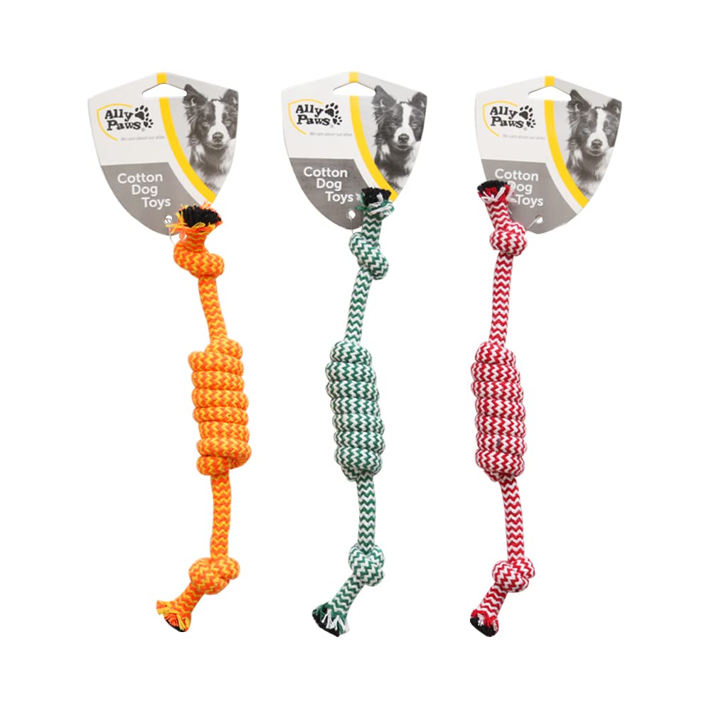 ALLY PAWS KÖPEKLER İÇİN DİŞ İPİ 25CM