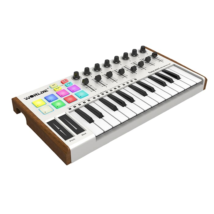 Akai Professional LPK25 - USB MIDI Klavye Controller Mac ve PC için Arpejatör ve Müzik Prodüksiyonu Yazılımı ve 25 Duyarlı Synth Tuşu
