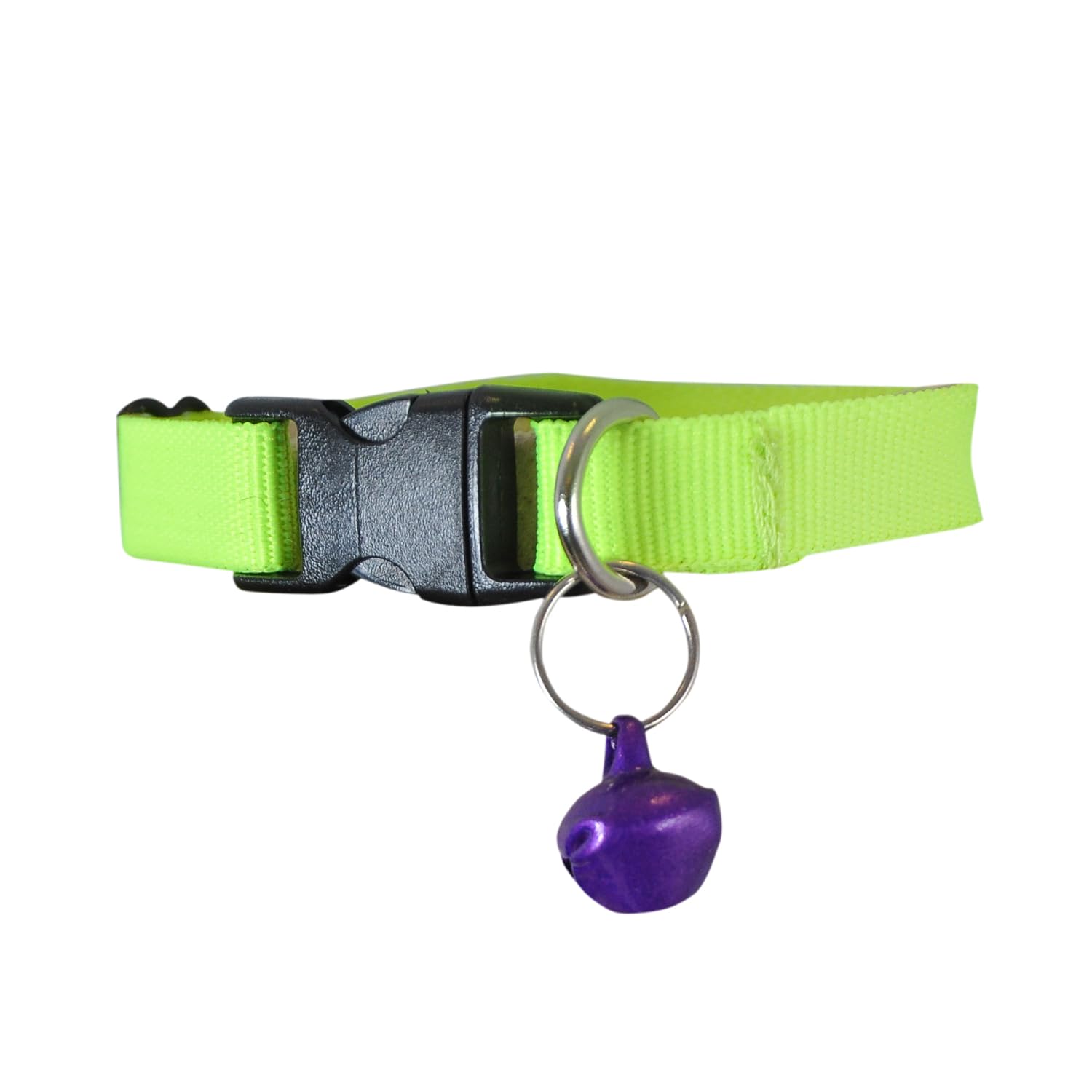 Zilli Kedi Boyun Tasması Yavru Kedi Boyun Tasma