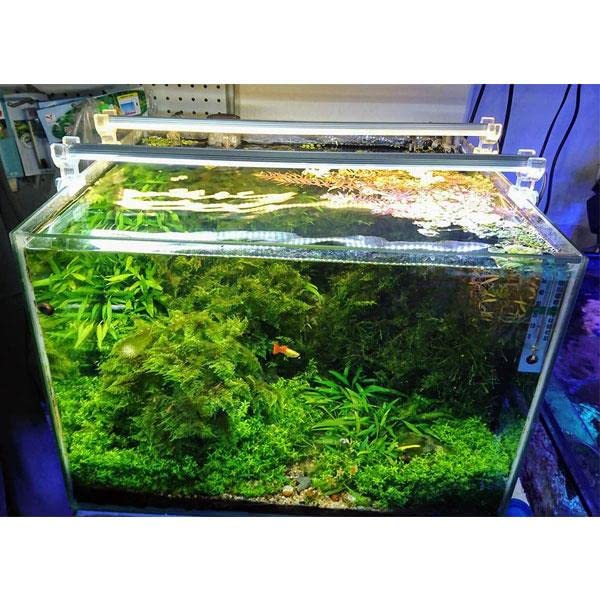 OrionLed Akvaryum Plastik LED Aydınlatma Beyaz 30cm 6500K