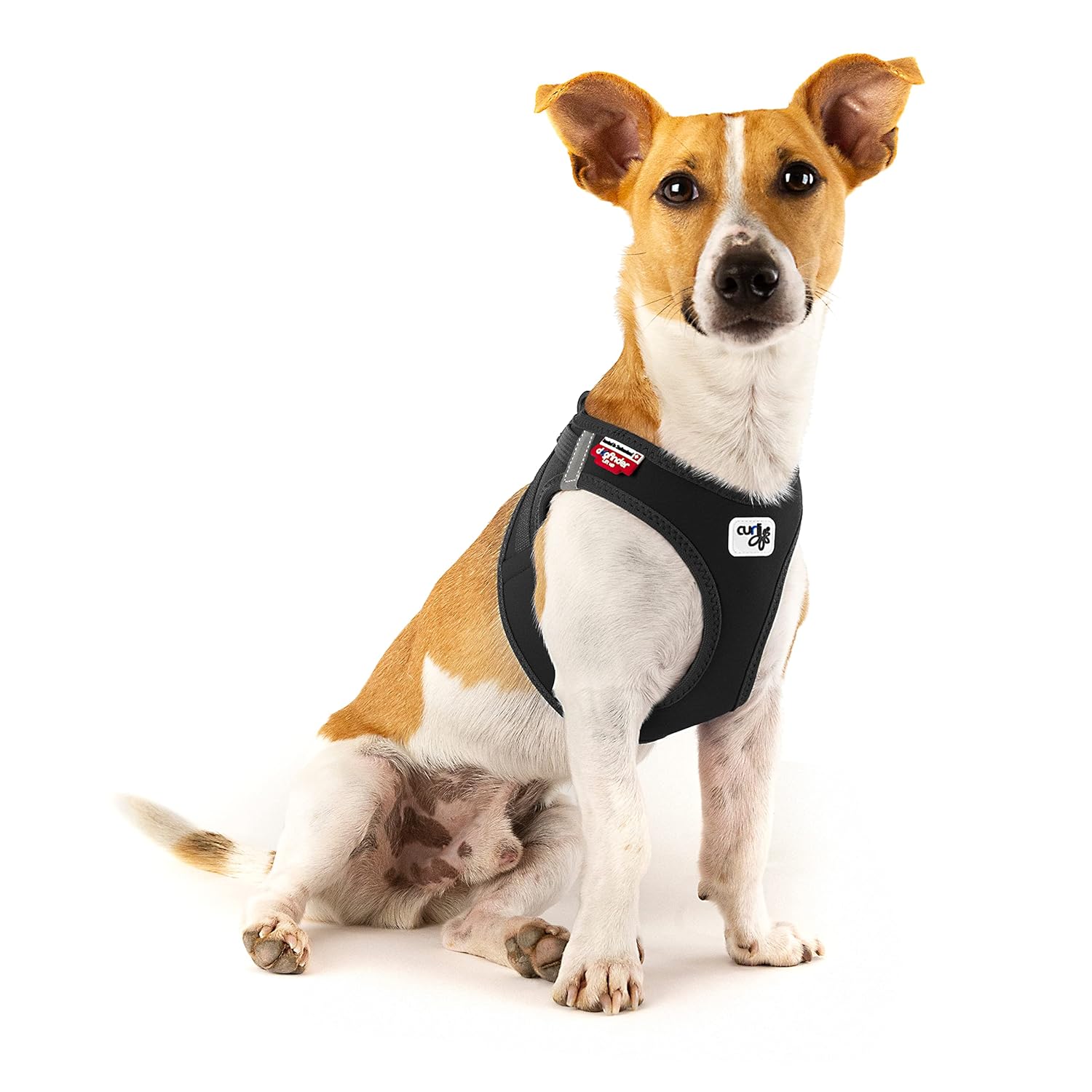 Vest Harness curli Clasp Softshell Black XS