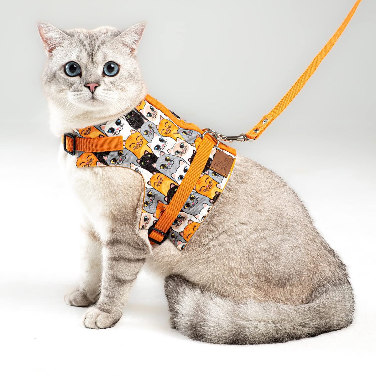 Kaçış Önleyici Kedi Gezdirme Tasması Ve Küçük Irk Köpek Gezdirme Tasması (S, Turuncu Kedi Desenli)
