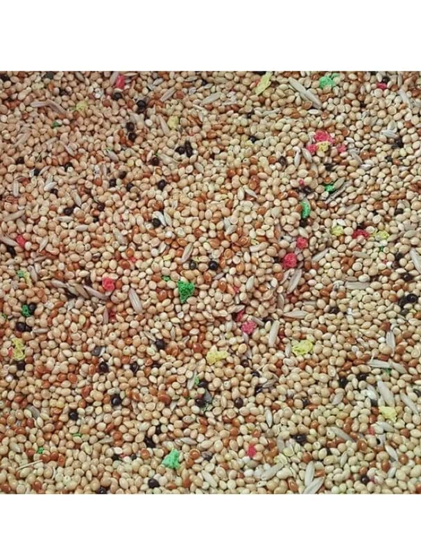 BirdMozz Muhabbet Kuşu Yemi 1 Kg