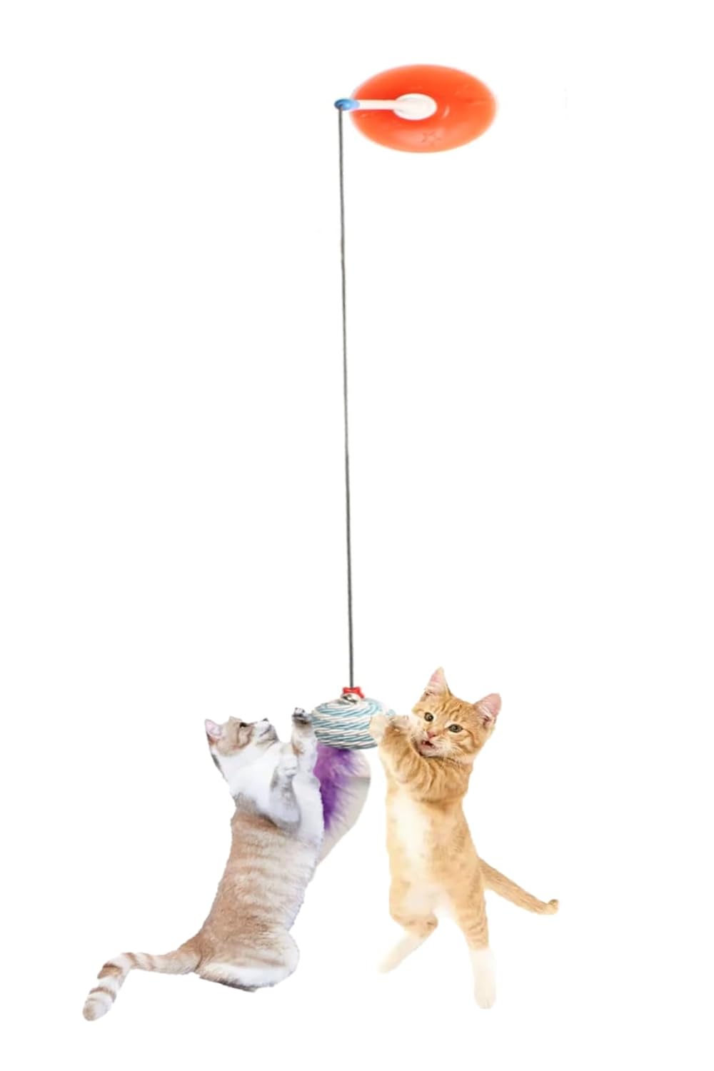 TİNEKE VANTUZLU KEDİ OLTASI KEDİ OYUNCAĞI