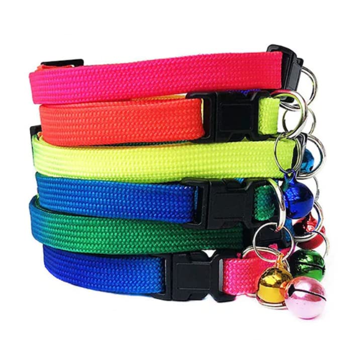 Kedi Boyun Tasması - Karışık Renkli