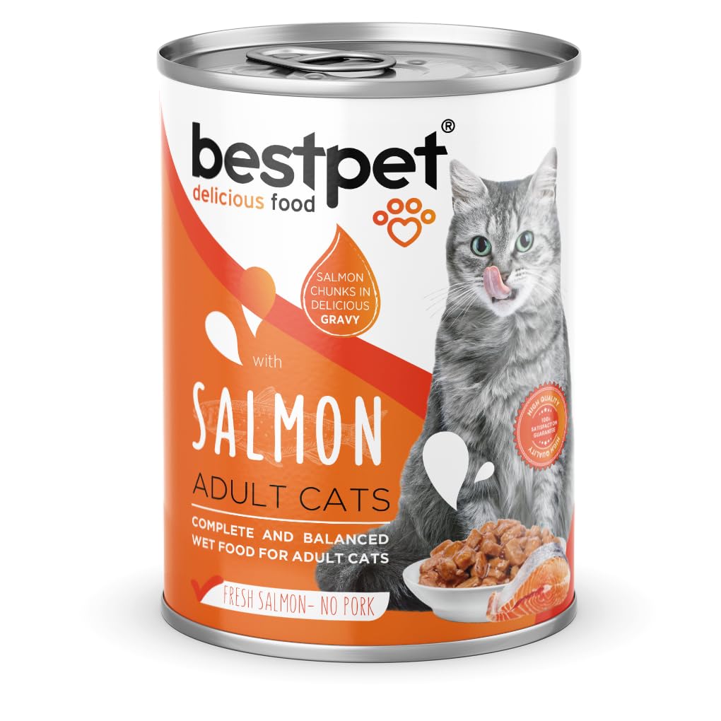 Bestpet Yetişkin Kediler İçin, Taze Somon Parça Etli Ve Soslu Yaş Mama, 400 g x 12 Adet