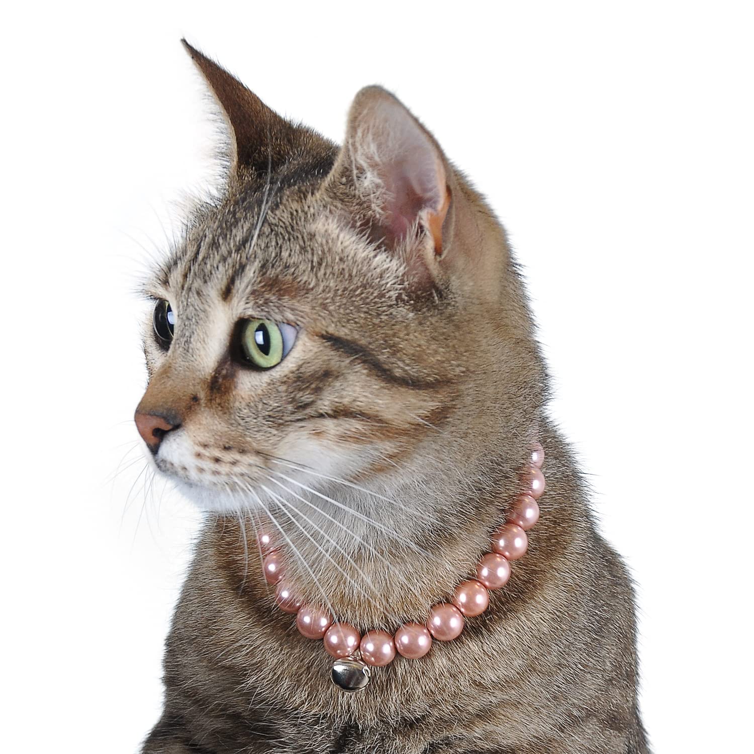 X-Perk Kedi Köpek Zilli İnci Boyun Tasması