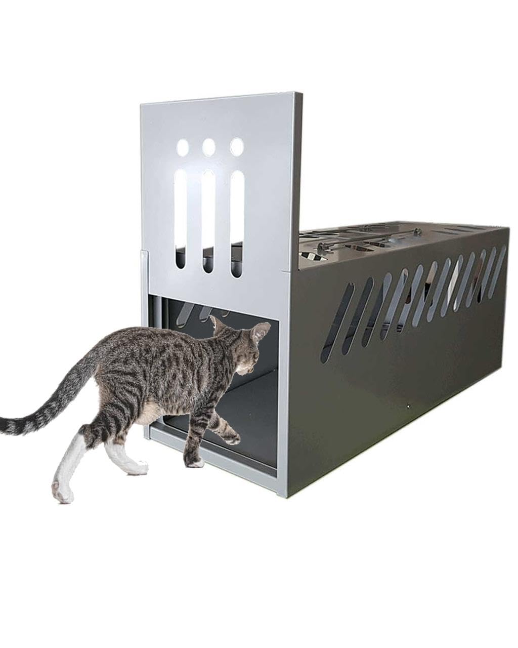 Berta Hijyen Yeni Model Daha Etkili Kedi Canlı Yakalama Kapanı