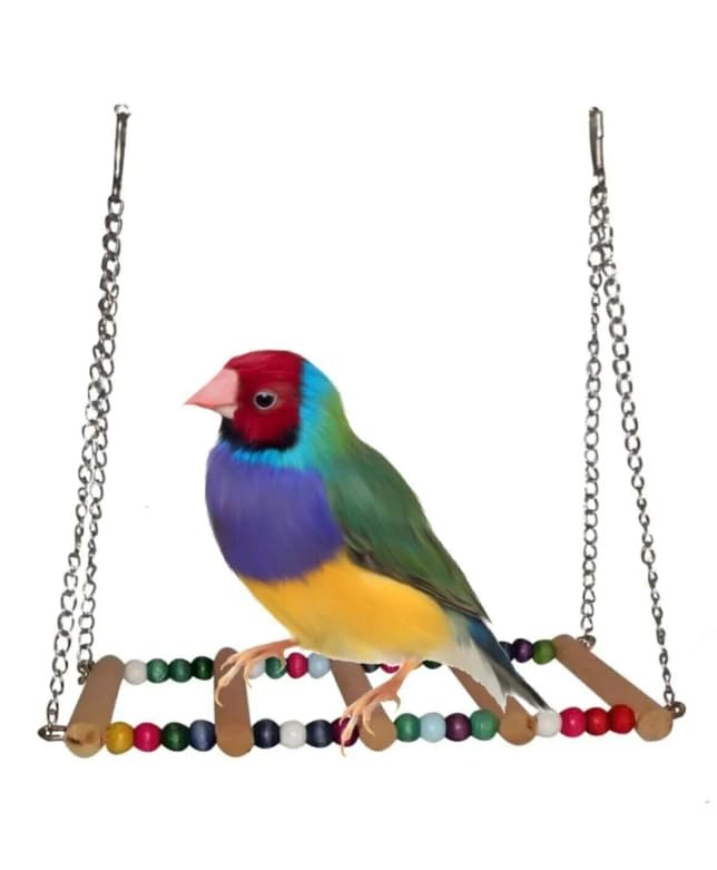 Petistera Muhabbet Kuşu Köprülü Salıncak 14x7 cm