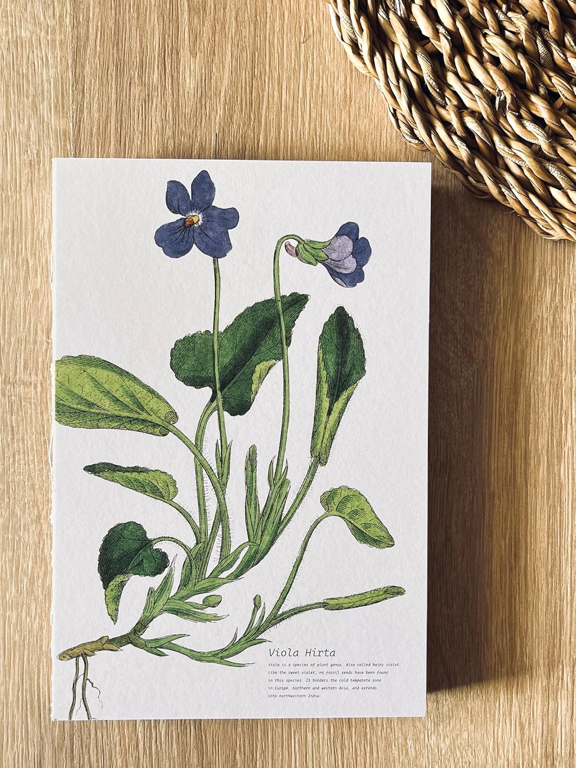 Fark Tanıtım Özel Tasarım Kapaklı A5 Çizgisiz Not Defteri - 180 Derece Açılabilir, Sırtı Dikişli,%100 El İşçiliği, Ofis İçin İdeal, Planlayıcı (Viola Hirta Kapak Tasarımı)