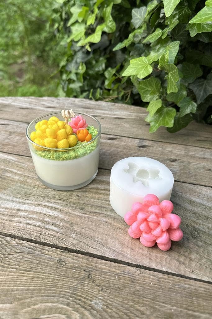 Rufus Concept Obtusa Sukulent Mum Kalıbı (Silikon)