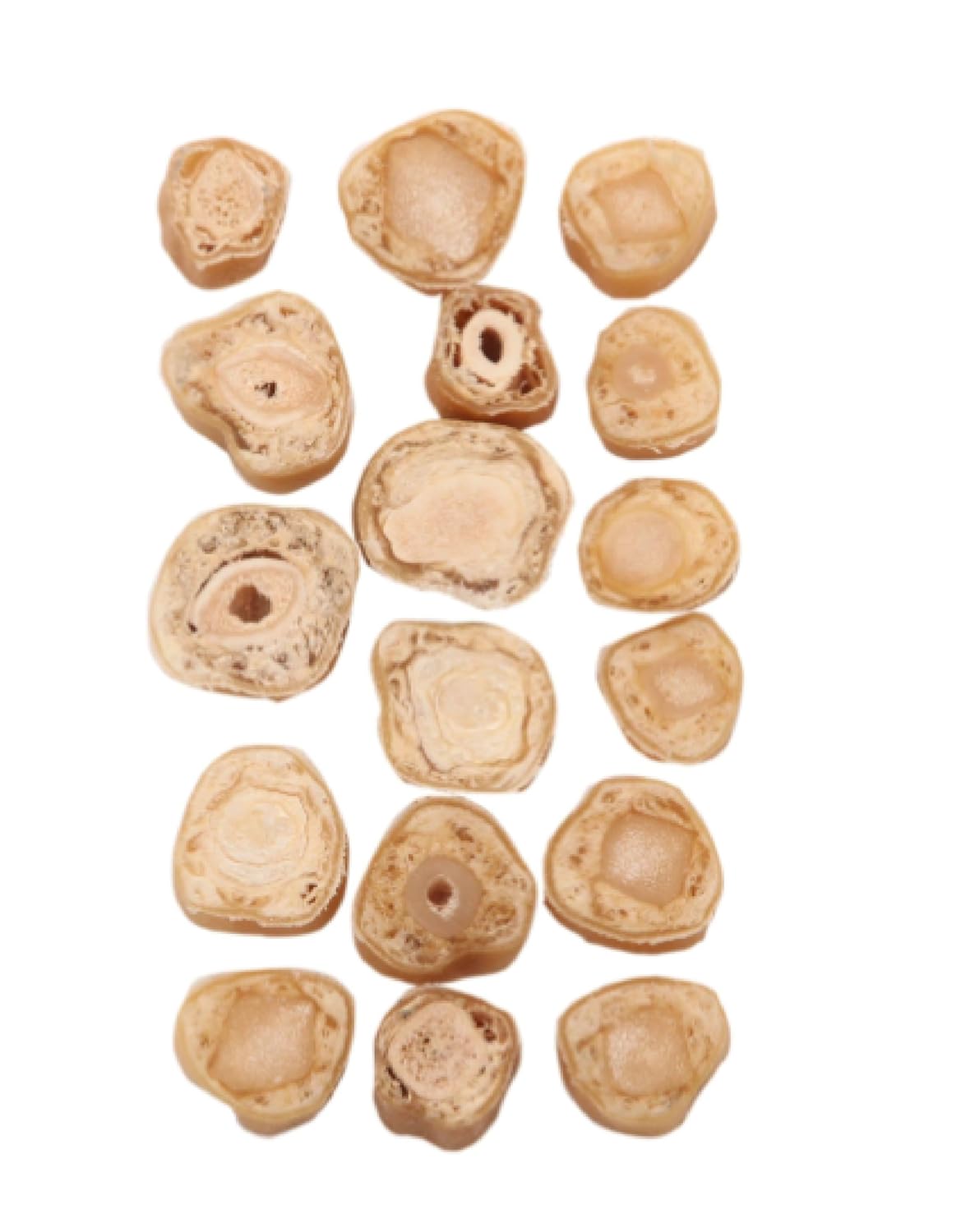 Double Max Kurutulmuş Dana Kuyruğu Disk Köpek Ödül Maması 100 gr