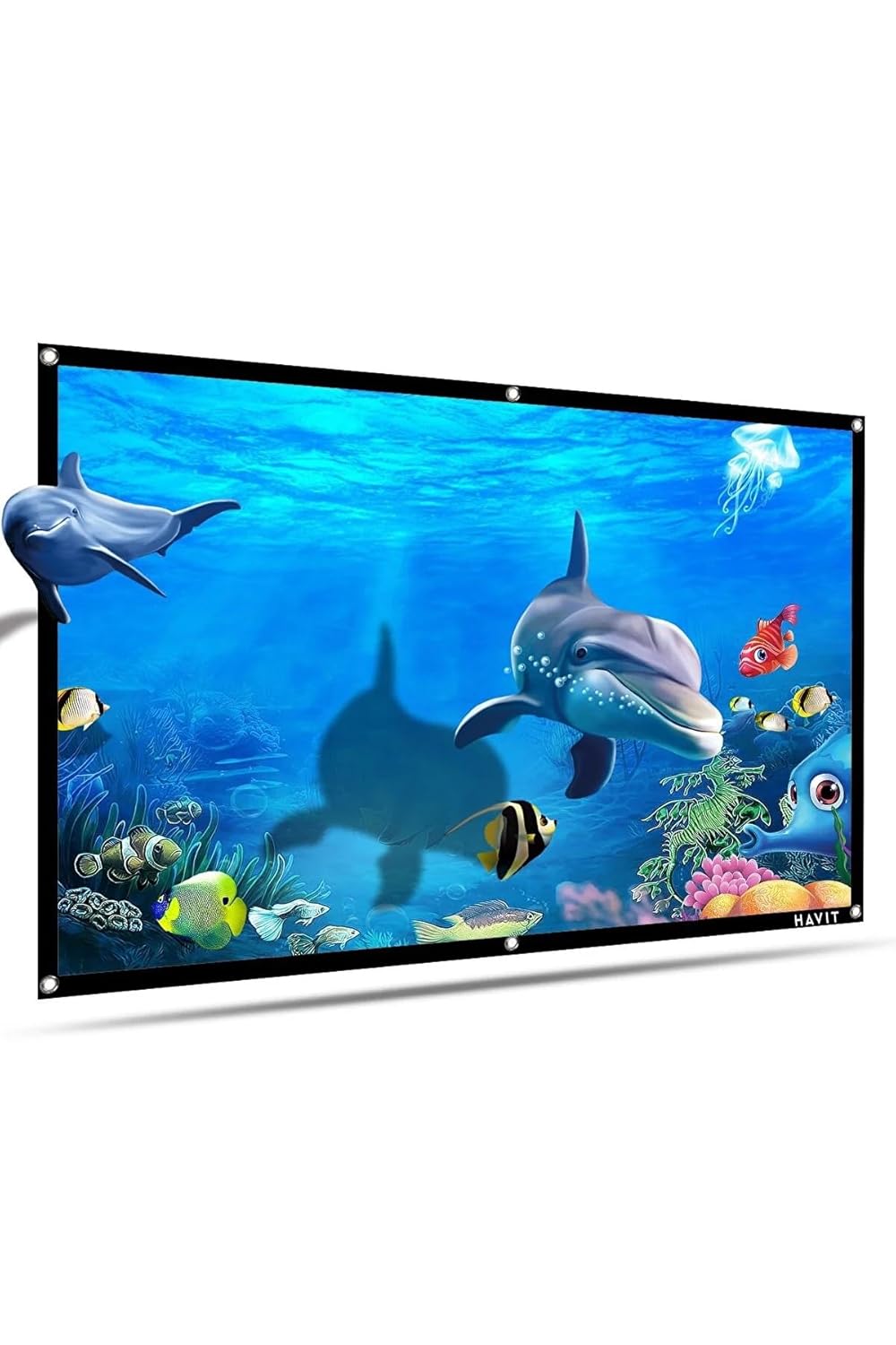 Havit Pa301 100 Inç Siyah Çerçeveli Duvar Tipi Projeksiyon Perdesi PA301