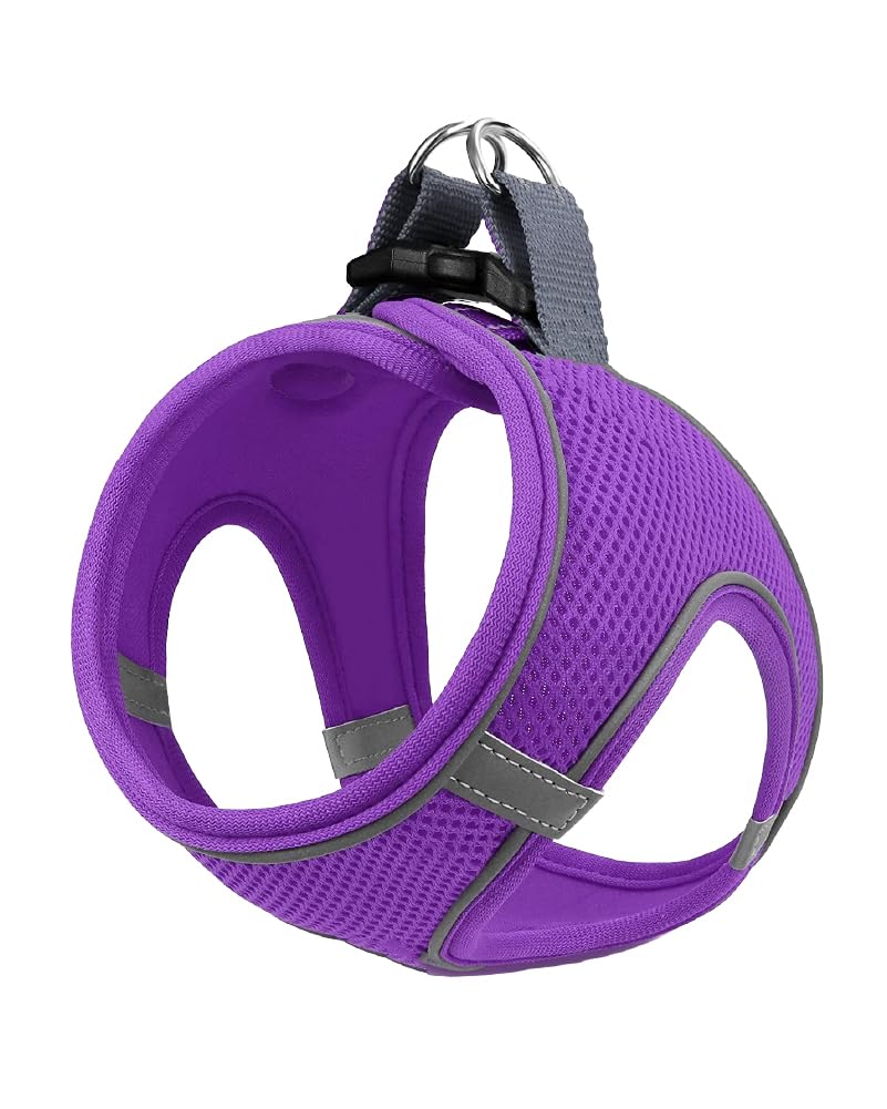 Mita Air Mesh Kedi Köpek Göğüs Tasması Çift Reflektörlü, Terletmeyen Tasma (Mor, L)