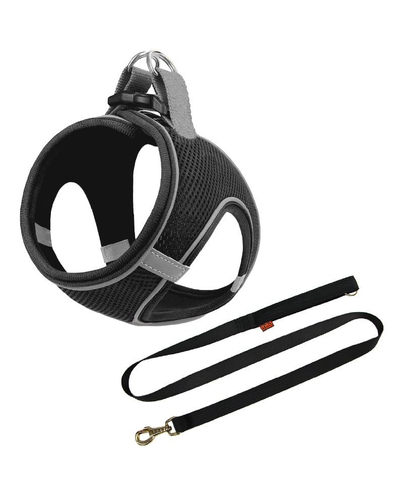 Mita Air Mesh 2'li Bundle Set Kedi Köpek Göğüs Tasması + Köpek Gezdirme Tasması/Kayışı (Siyah, 3XS)