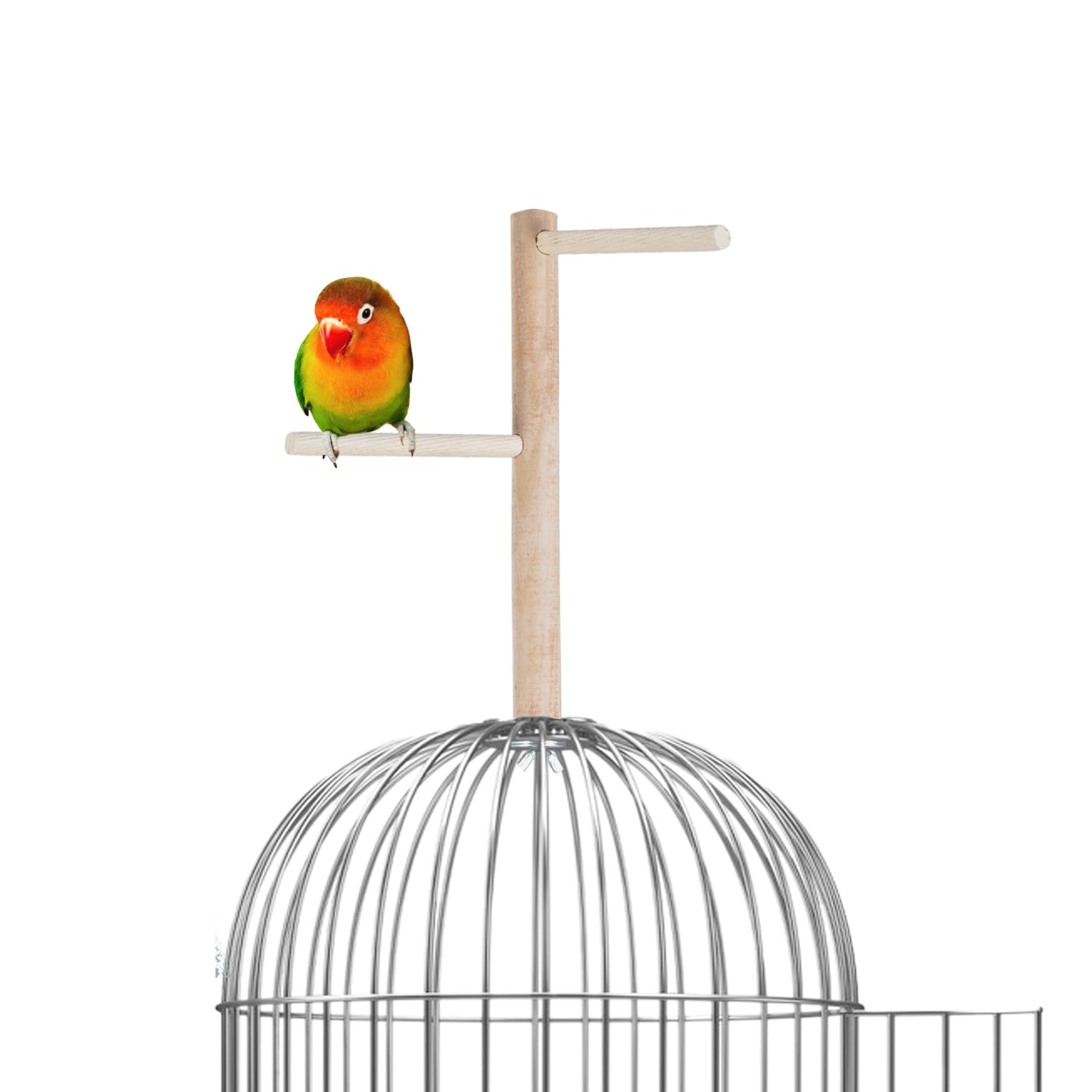 X-Perk Ağaç sopalı kuş tüneği Kuş Parkuru Tünek Boy 23 cm