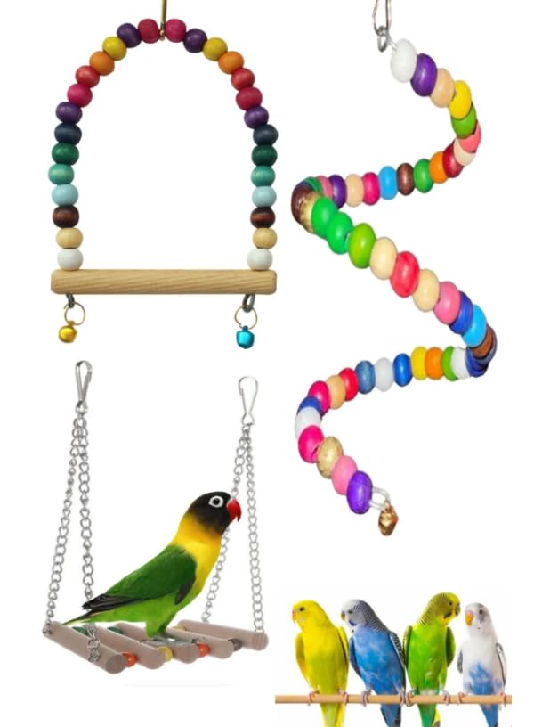 Petistera Muhabbet Kuşu Oyuncak Set